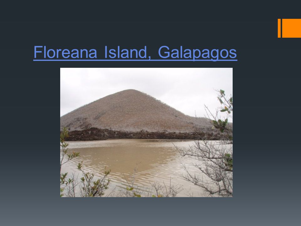 Floreana Island, Galapagos