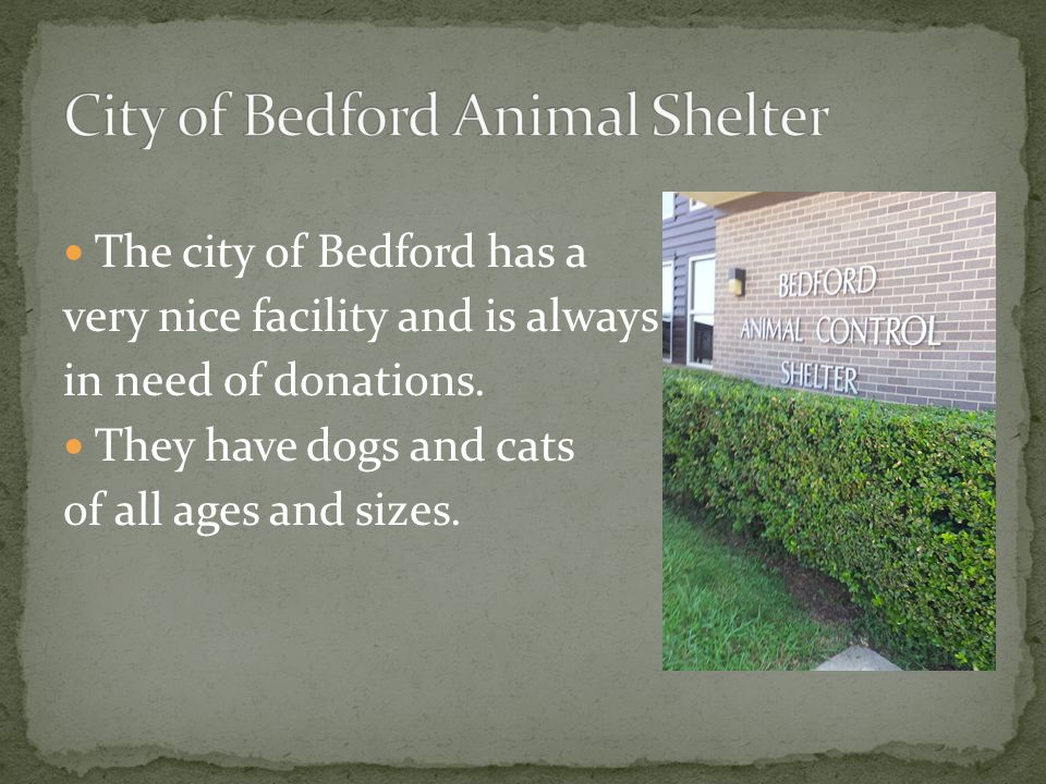 The city of Bedford has a very nice facility and is always in need of donations.