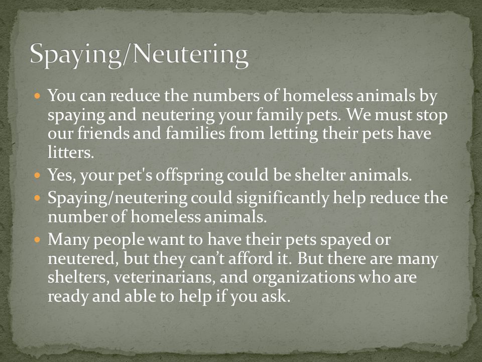 You can reduce the numbers of homeless animals by spaying and neutering your family pets.