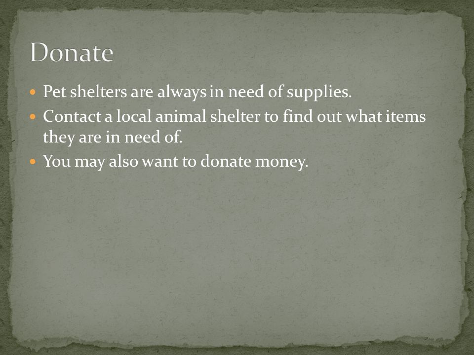 Pet shelters are always in need of supplies.