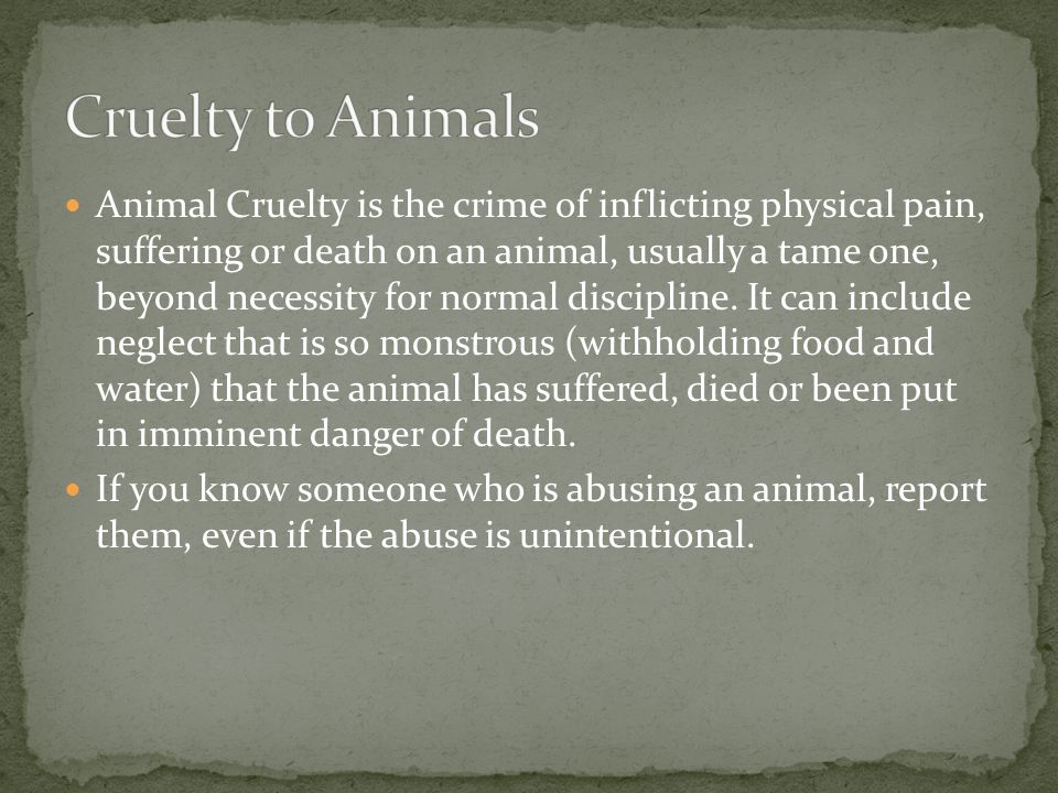 Animal Cruelty is the crime of inflicting physical pain, suffering or death on an animal, usually a tame one, beyond necessity for normal discipline.