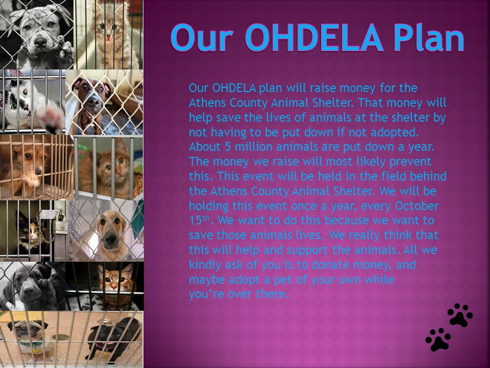 Our OHDELA plan will raise money for the Athens County Animal Shelter.
