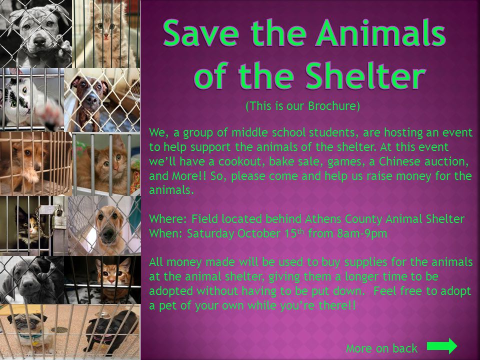 We, a group of middle school students, are hosting an event to help support the animals of the shelter.