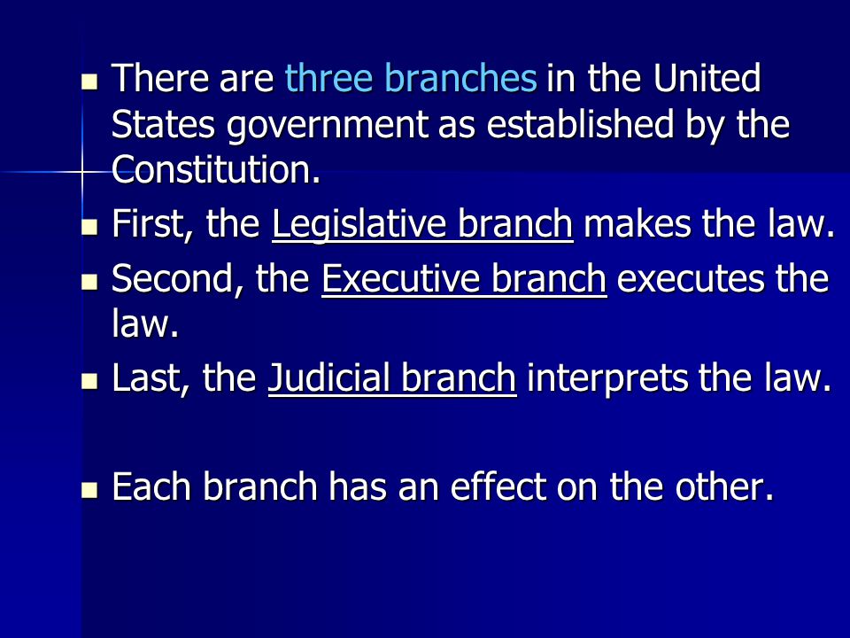 There are three branches in the United States government as established by the Constitution.