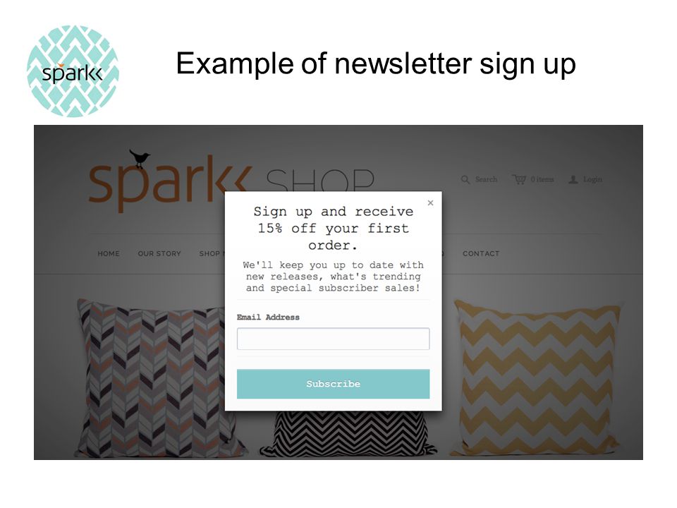 Example of newsletter sign up