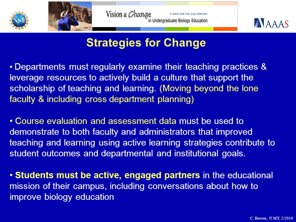 Strategies for Change Departments must regularly examine their teaching practices & leverage resources to actively build a culture that support the scholarship of teaching and learning.