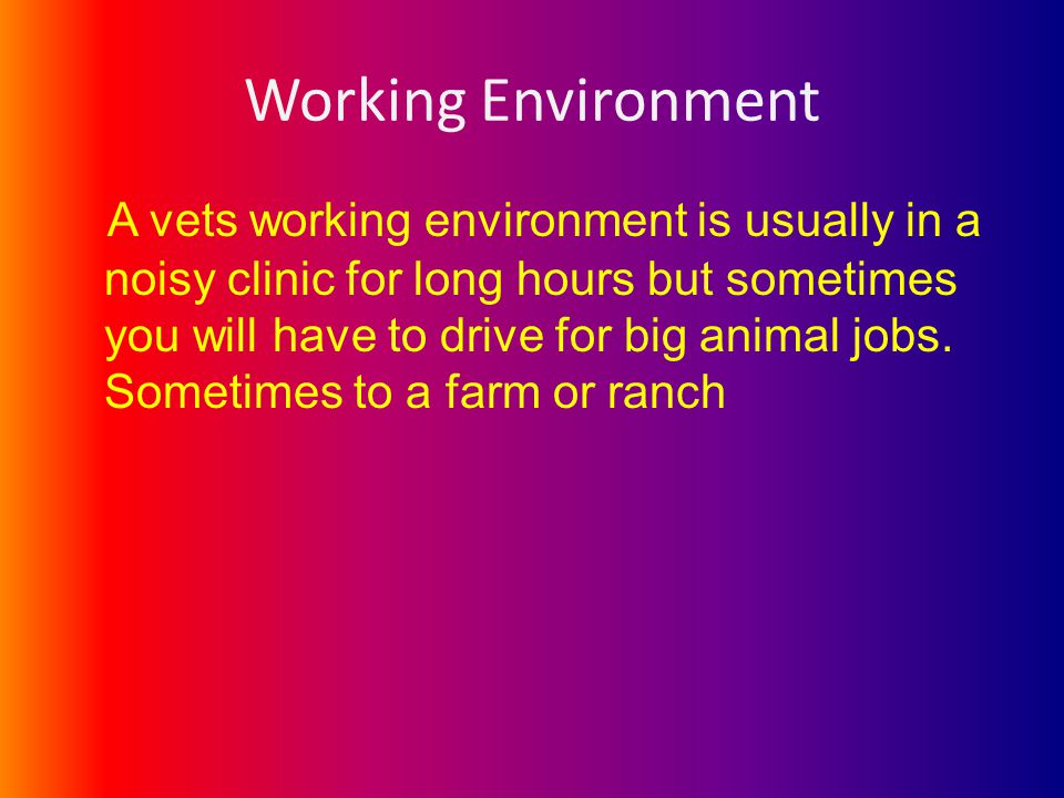 Working Environment A vets working environment is usually in a noisy clinic for long hours but sometimes you will have to drive for big animal jobs.