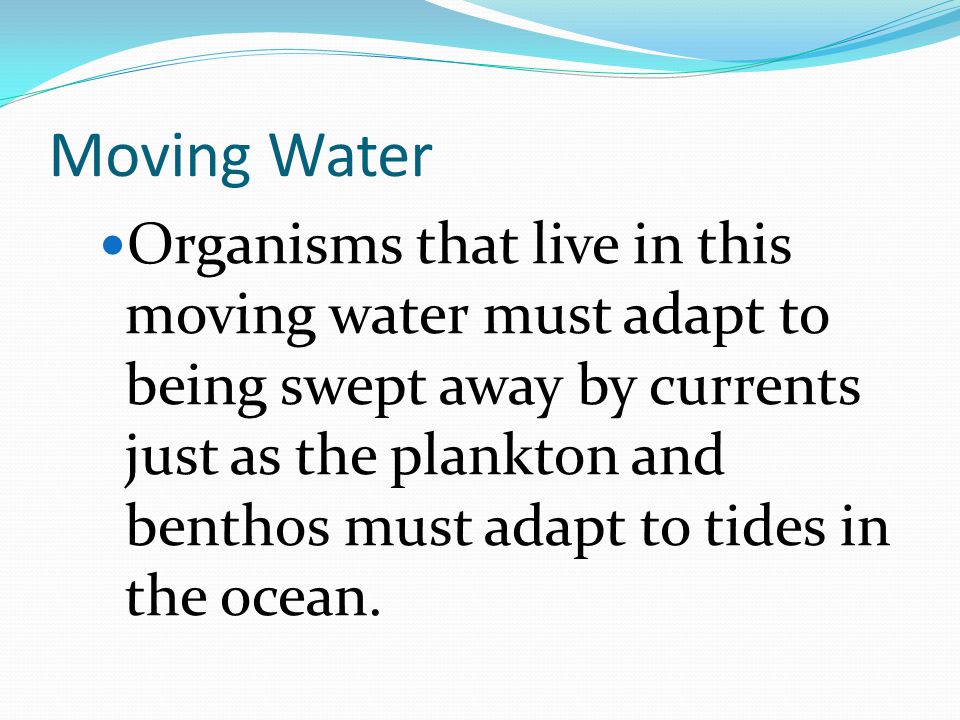 Moving Water Organisms that live in this moving water must adapt to being swept away by currents just as the plankton and benthos must adapt to tides in the ocean.