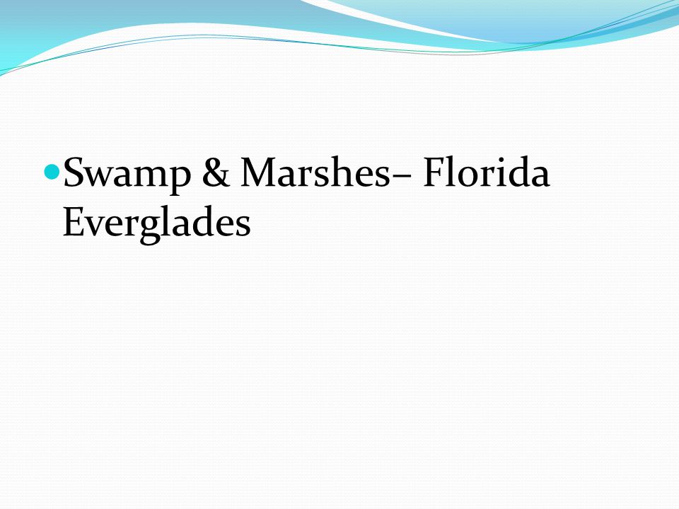 Swamp & Marshes– Florida Everglades