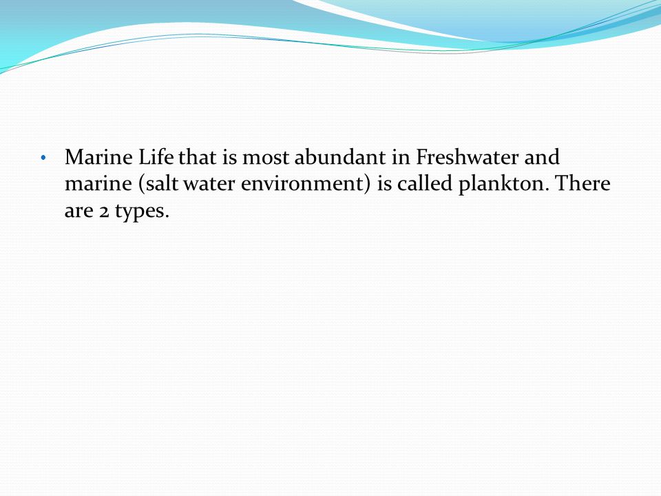 Marine Life that is most abundant in Freshwater and marine (salt water environment) is called plankton.