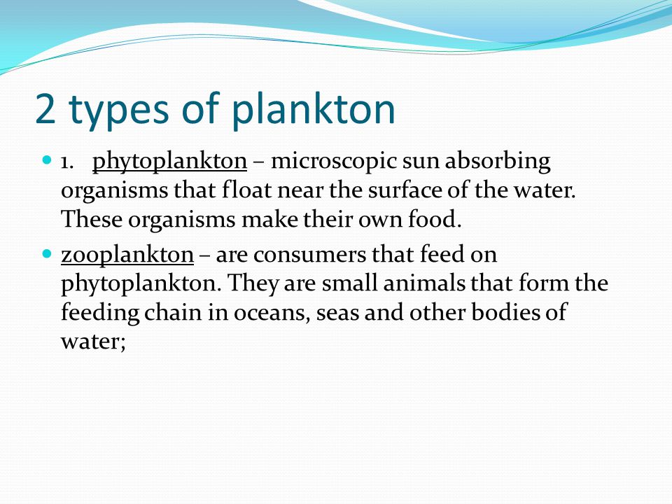 2 types of plankton 1.