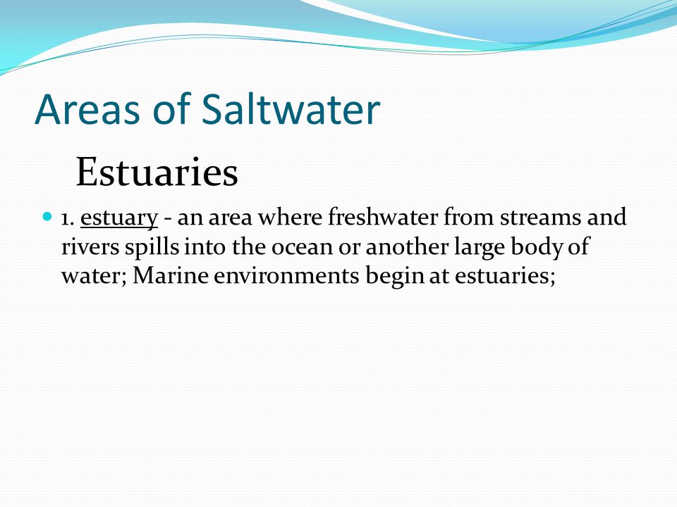 Areas of Saltwater Estuaries 1.