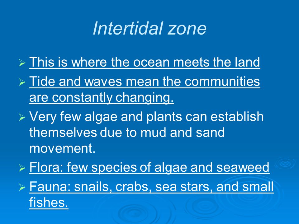 Intertidal zone   This is where the ocean meets the land   Tide and waves mean the communities are constantly changing.