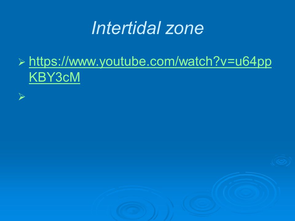 Intertidal zone     v=u64pp KBY3cM   v=u64pp KBY3cM  