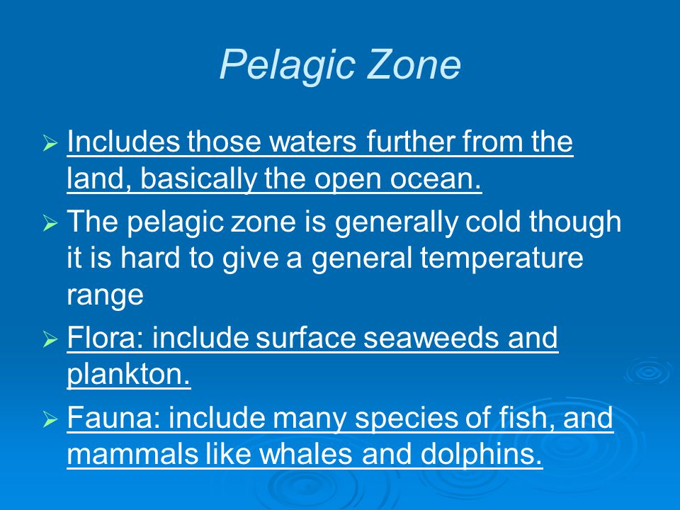 Pelagic Zone   Includes those waters further from the land, basically the open ocean.