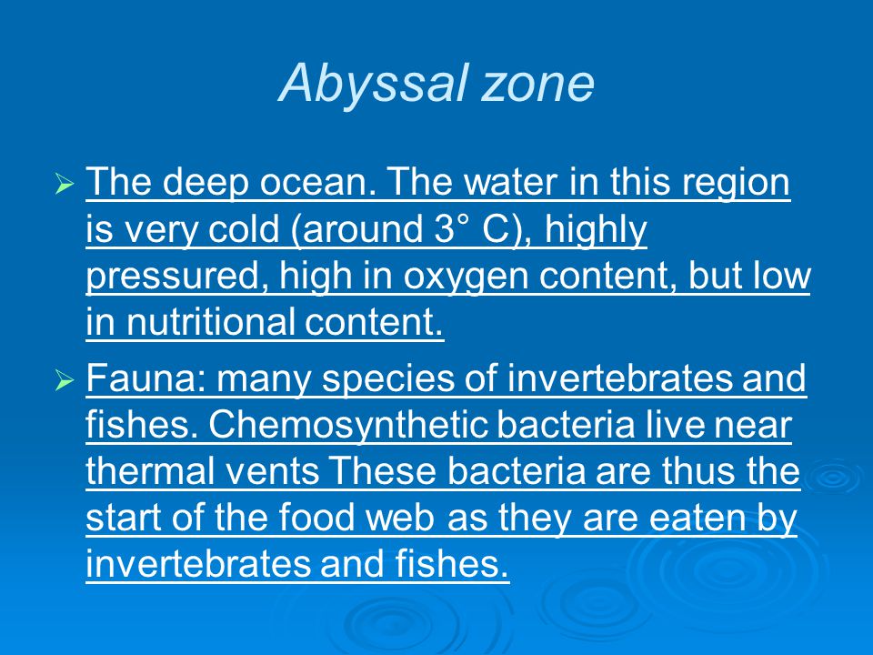 Abyssal zone   The deep ocean.