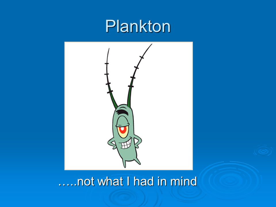 Plankton …..not what I had in mind …..not what I had in mind