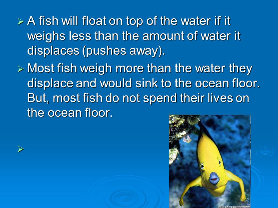  A fish will float on top of the water if it weighs less than the amount of water it displaces (pushes away).