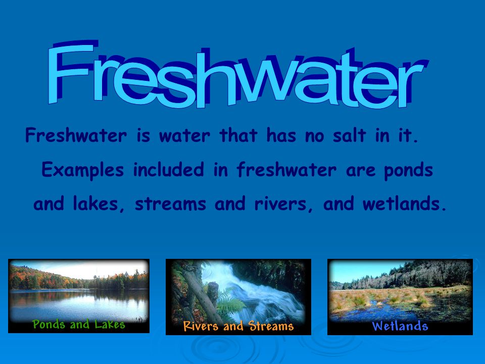 Freshwater is water that has no salt in it.
