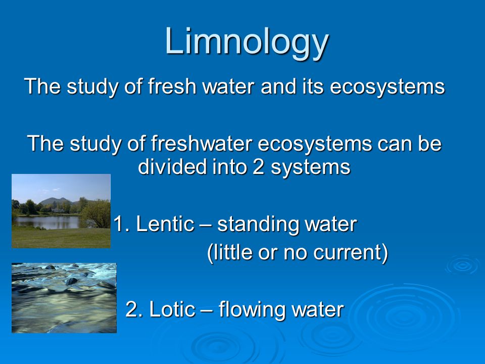 Limnology The study of fresh water and its ecosystems The study of freshwater ecosystems can be divided into 2 systems 1.