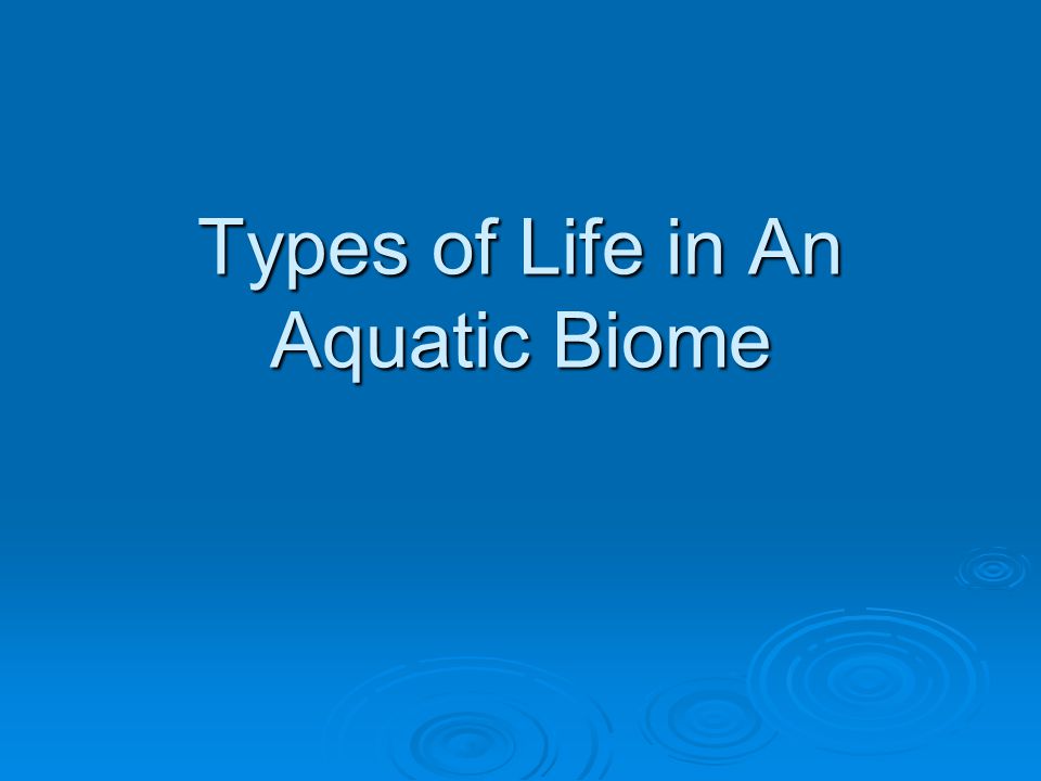 Types of Life in An Aquatic Biome