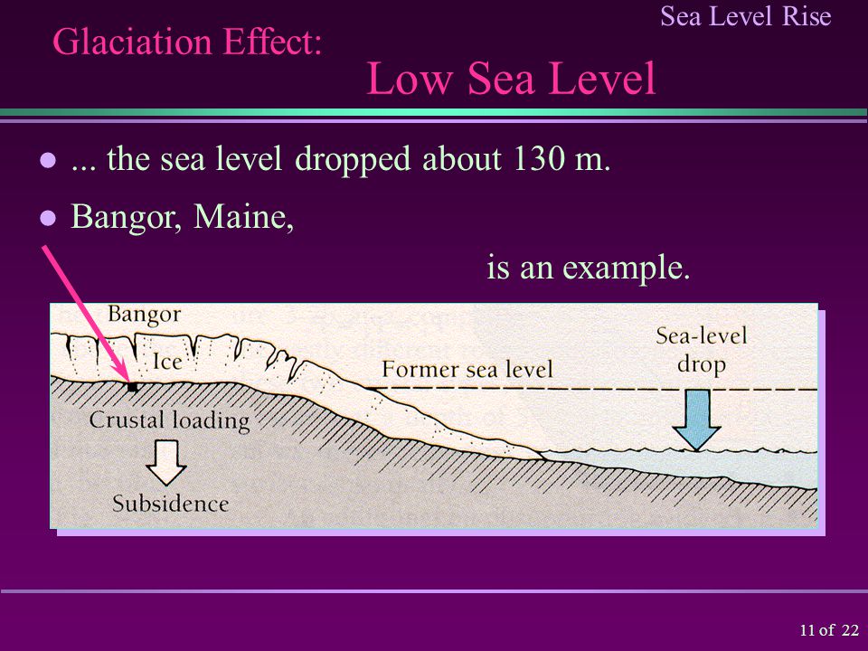 Sea Level Rise 10 of 22 Glaciation Effect: Ice Compression The ice weight compressed the land downward.