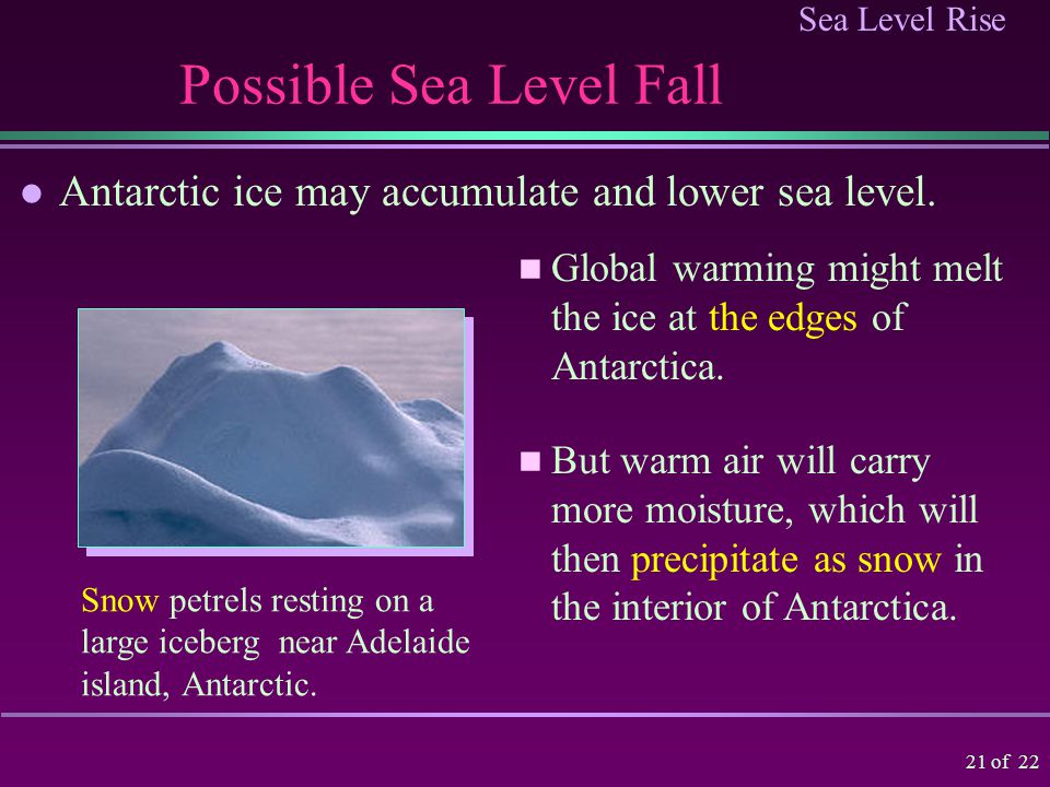 Sea Level Rise 20 of 22 To Summarize… The current sea level rise is due to: » Thermal expansion -- about 5 cm (2 ); » Melting of small glaciers and the ice edges of Greenland and Antarctica -- another 5 cm.