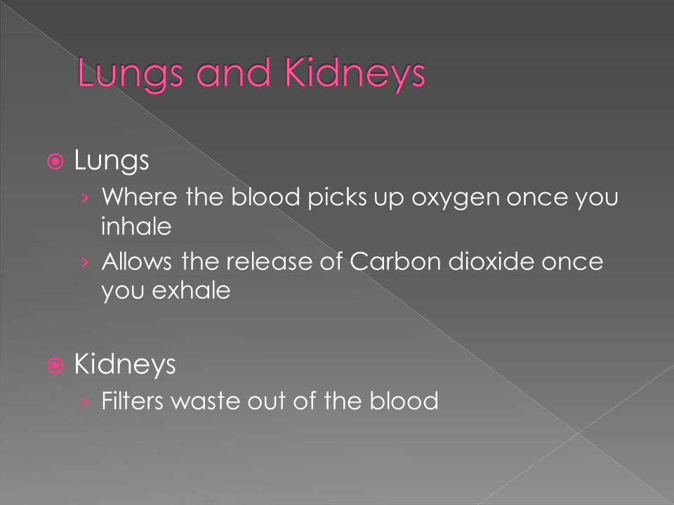  Lungs › Where the blood picks up oxygen once you inhale › Allows the release of Carbon dioxide once you exhale  Kidneys › Filters waste out of the blood