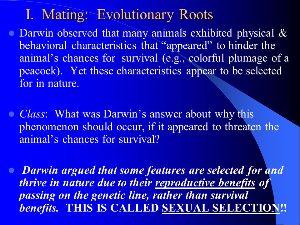 Evolutionary psychology and sex darwin