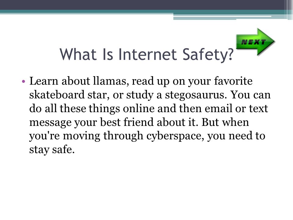 What Is Internet Safety.