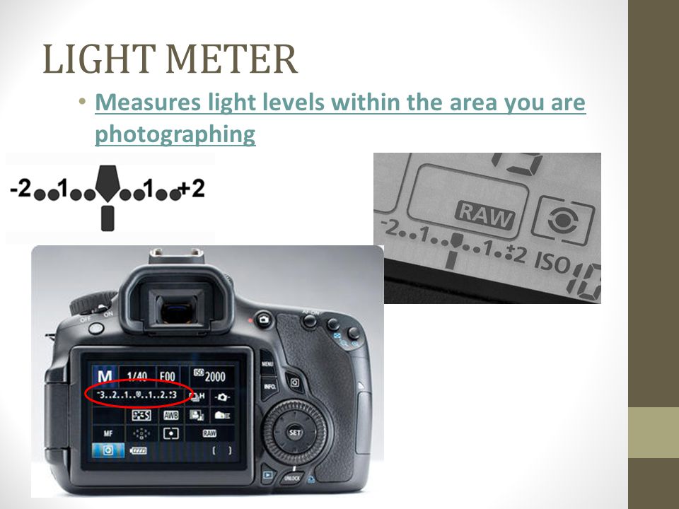 LIGHT METER Measures light levels within the area you are photographing