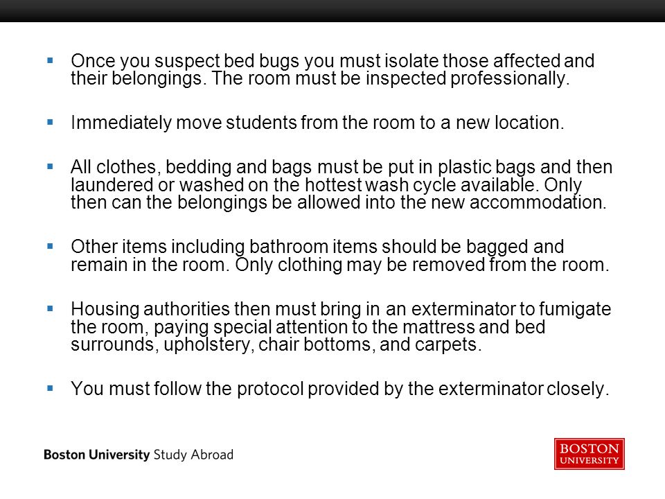 Boston University Slideshow Title Goes Here  Once you suspect bed bugs you must isolate those affected and their belongings.