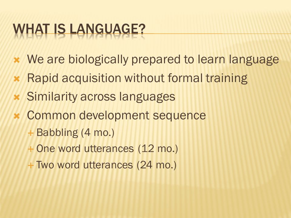 What Is Language