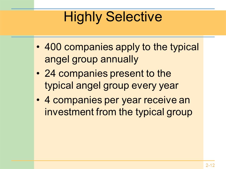 2-12 Highly Selective 400 companies apply to the typical angel group annually 24 companies present to the typical angel group every year 4 companies per year receive an investment from the typical group
