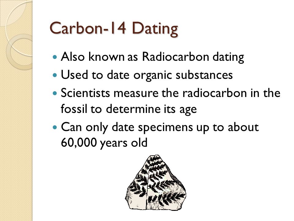 What type of organisms is carbon dating used to determine absolute age