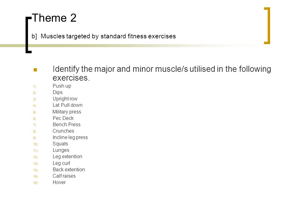 Theme 2 b] Muscles targeted by standard fitness exercises Identify the major and minor muscle/s utilised in the following exercises.