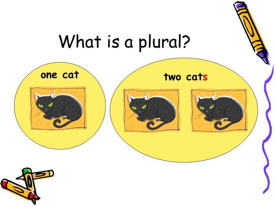 What is a plural one cat two cats