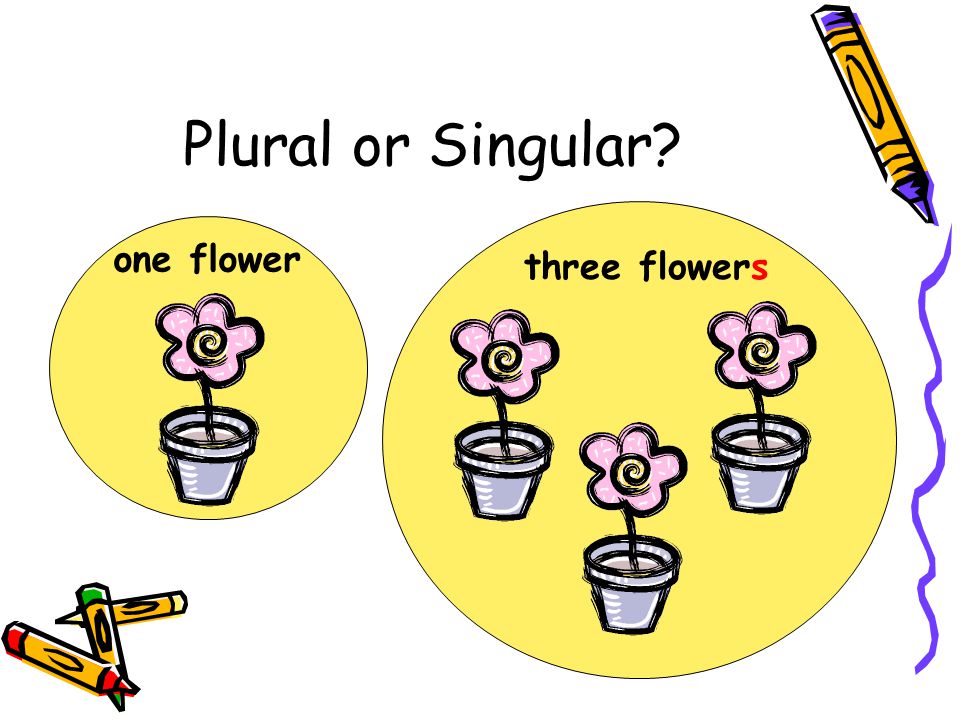 Plural or Singular one flower three flowers