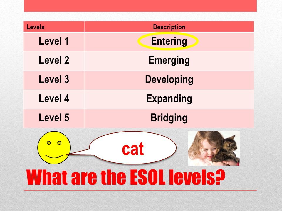 What are the ESOL levels.