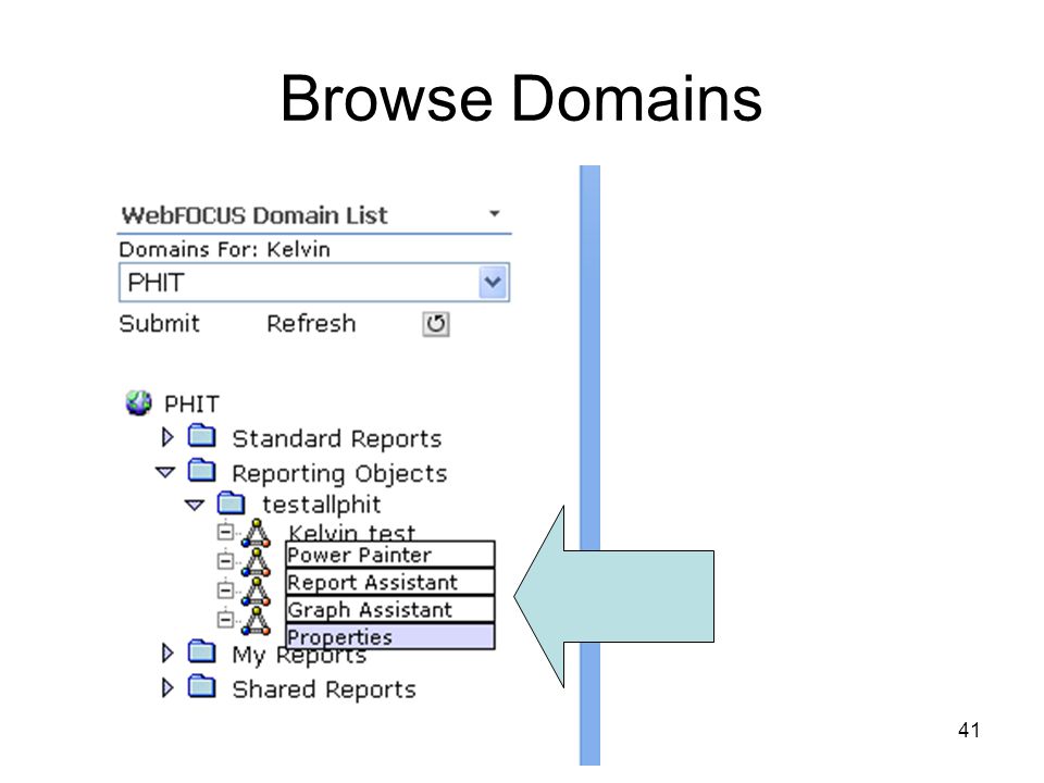 41 Browse Domains