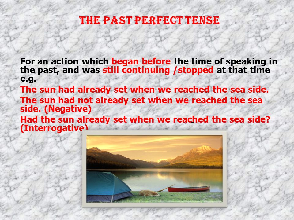 Past Continuous Tense In descriptions – (Past cont.) e.g: A w ood fire was burning.