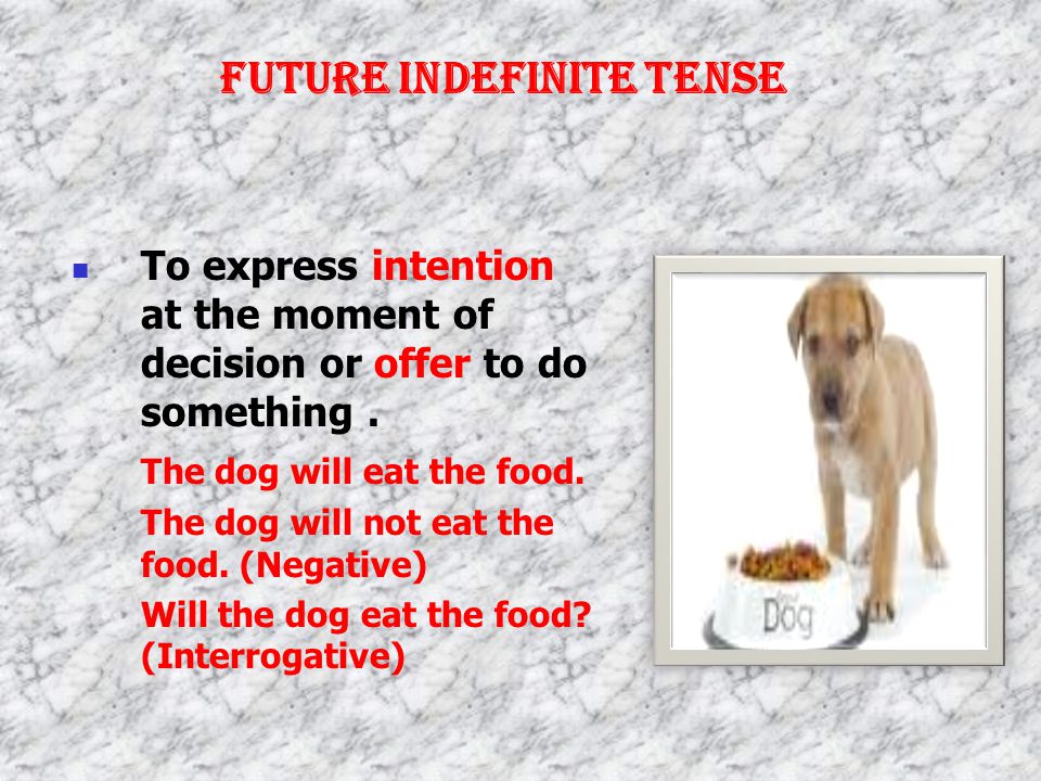 FUTURE INDEFINITE / SIMPLE TENSE To express the speaker’s opinions, assumptions, speculations about the future.