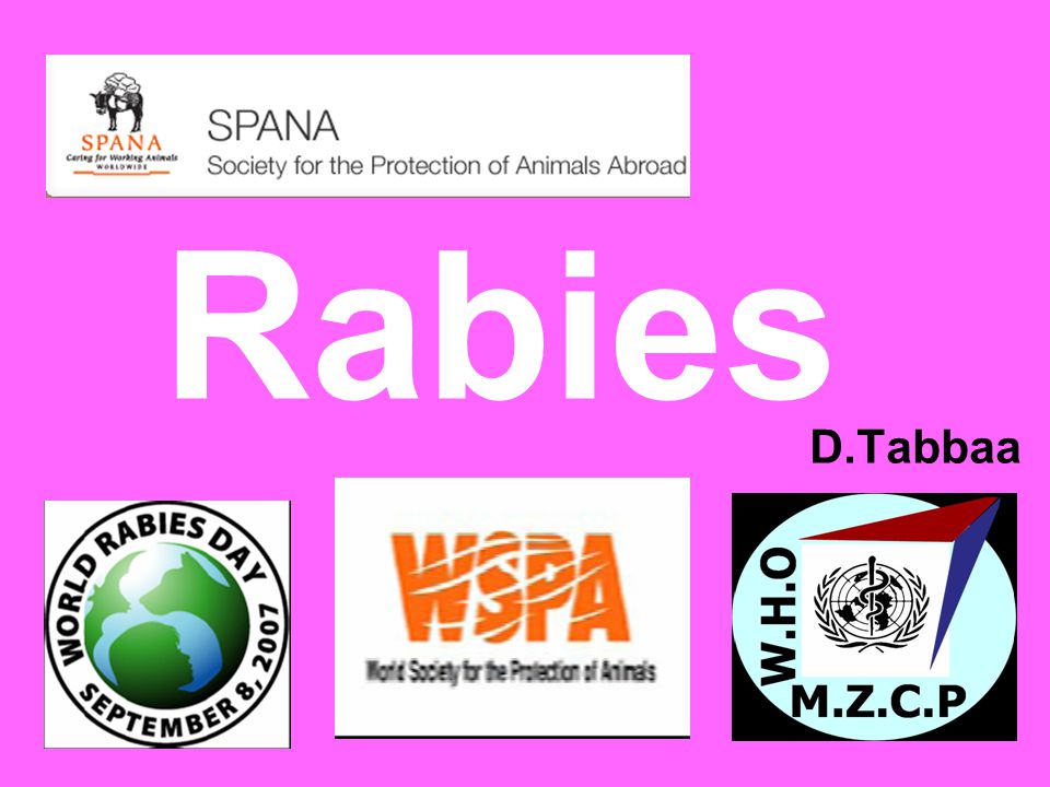 Rabies D.Tabbaa