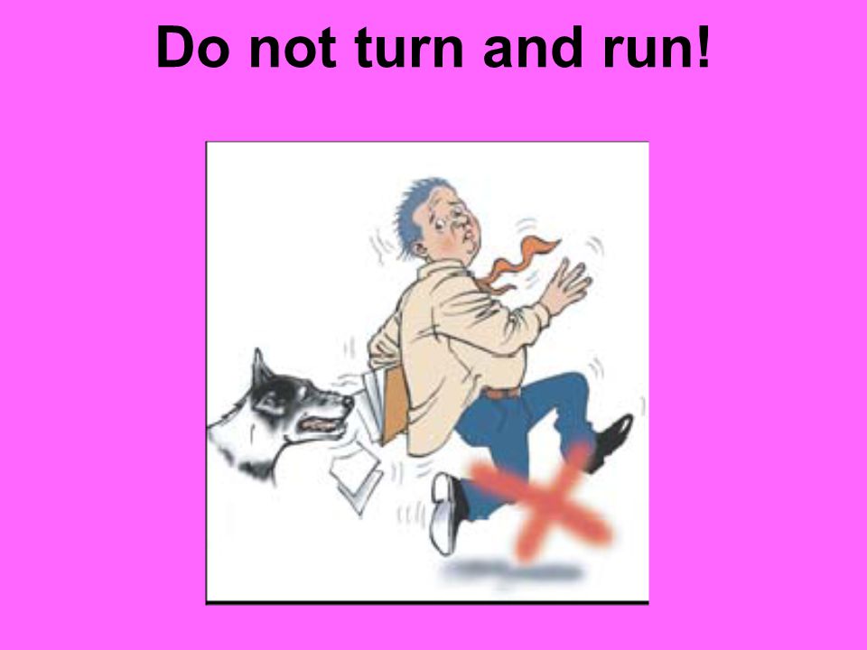 Do not turn and run!