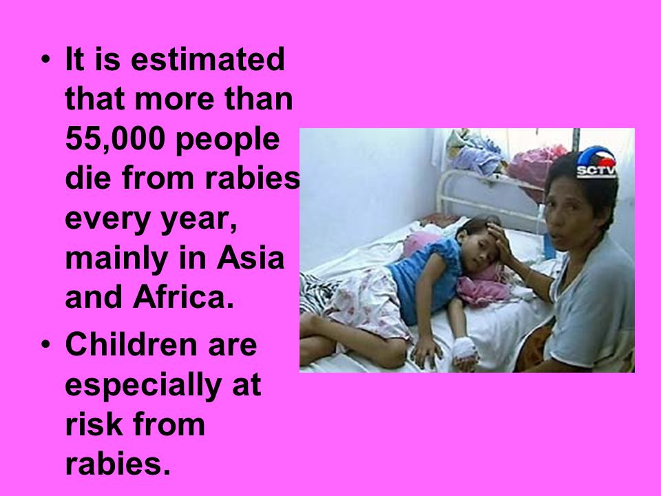 It is estimated that more than 55,000 people die from rabies every year, mainly in Asia and Africa.