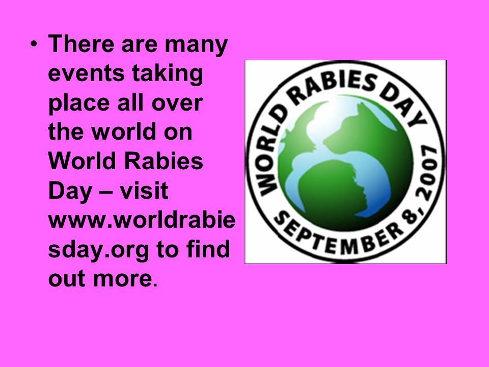 There are many events taking place all over the world on World Rabies Day – visit   sday.org to find out more.