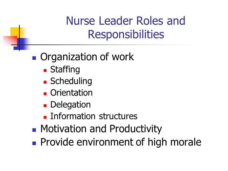 Nurse Leader Roles and Responsibilities Organization of work Staffing Scheduling Orientation Delegation Information structures Motivation and Productivity Provide environment of high morale