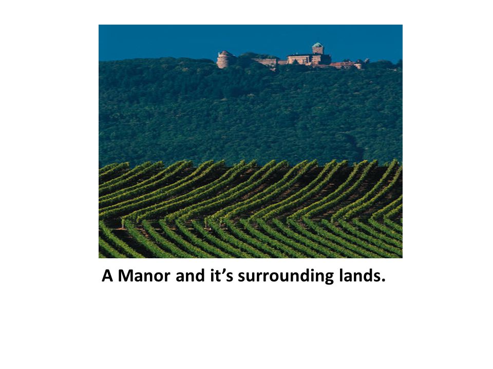 A Manor and it’s surrounding lands.