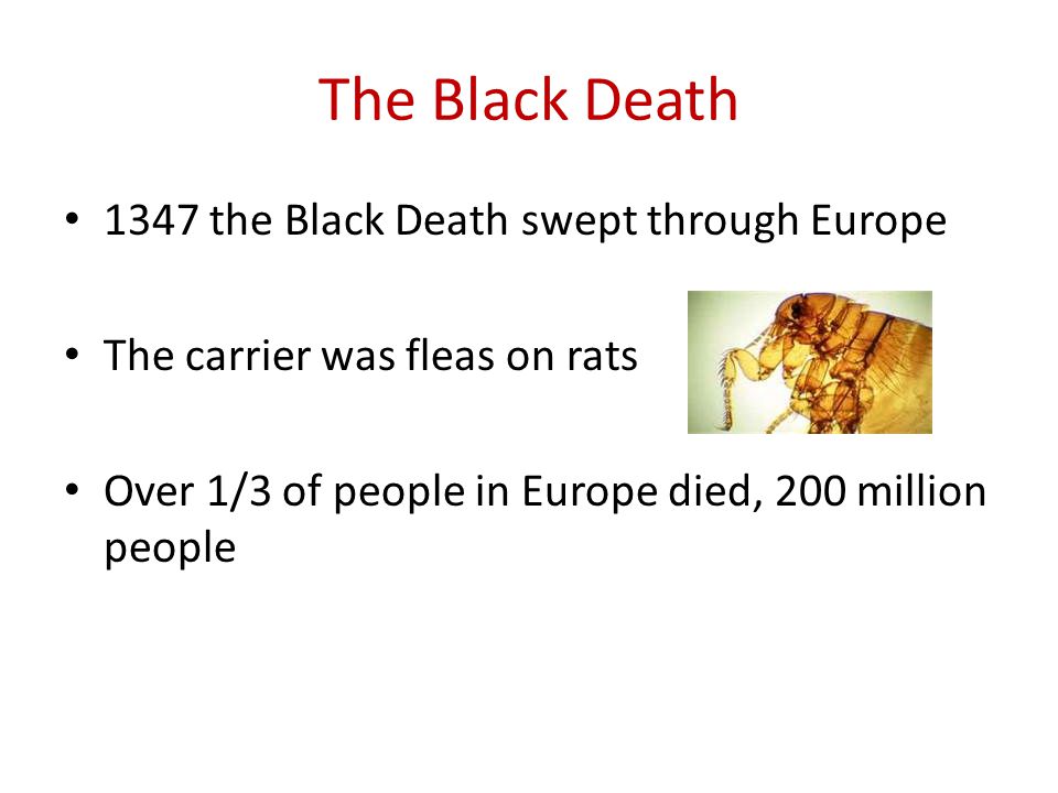 The Black Death 1347 the Black Death swept through Europe The carrier was fleas on rats Over 1/3 of people in Europe died, 200 million people