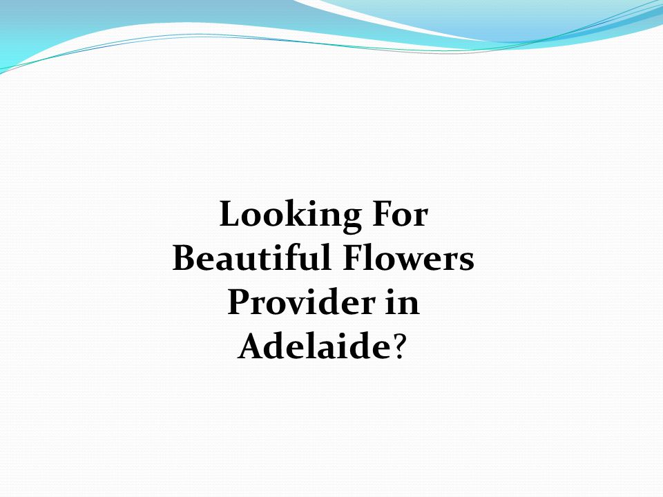 Looking For Beautiful Flowers Provider in Adelaide